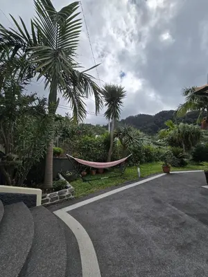 a hammock on the side of a road with palm trees at Casa da Cruz in Porto da Cruz