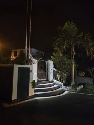 a house with stairs and a palm tree at night at Casa da Cruz in Porto da Cruz