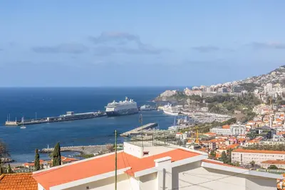 a view of a harbor with a cruise ship in the water at Sissi Lanço View 7 in Funchal