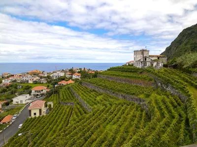 a village on a hill with vineyards and a castle at Solar do Pico Studio in Ponta Delgada
