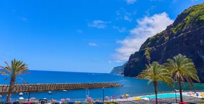a view of a beach with palm trees and the ocean at Casa da Vista Infinita in Ponta Delgada