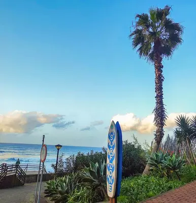 a blue surfboard on the beach with a palm tree at Casa da Vista Infinita in Ponta Delgada