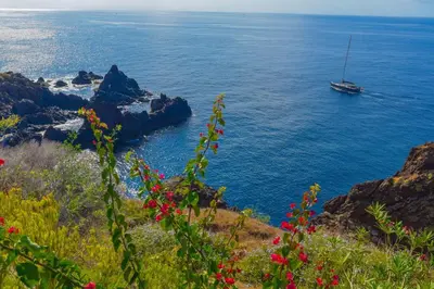 a boat in the ocean with flowers on a cliff at Casa da Vista Infinita in Ponta Delgada