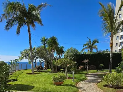 a path through a park with palm trees and a building at A Dream on the Cliff in Funchal
