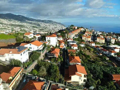 a tree sitting on top of a hill next to a building at Skyline Home Funchal in Funchal