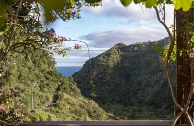 a view of the ocean from a mountain at Casa da Fajã Alta in São Jorge