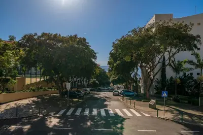 a street with trees and cars parked on the side of a road at Lido Ocean View - Perto da Praia com Estacionamento Privado in Funchal