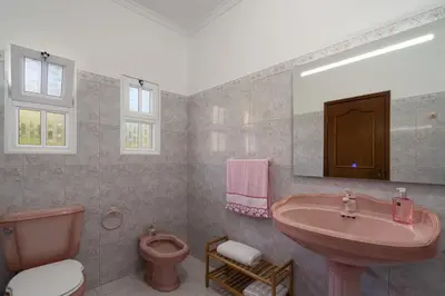 a bathroom with a pink sink and a toilet at Villa Mirage - by Madeira To Stay in Arco da Calheta