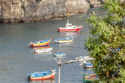 a group of boats in a body of water at Bay View Traditional house in city center in Câmara de Lobos