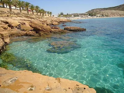 a beach with a group of palm trees and water at Margarida Seaview Terrace Apartment in Luz
