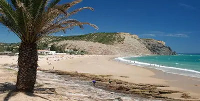 a palm tree on a beach with people in the water at Margarida Seaview Terrace Apartment in Luz