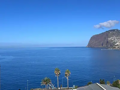 a view of a large body of water with palm trees at Ocean Sea View Apartment in Funchal