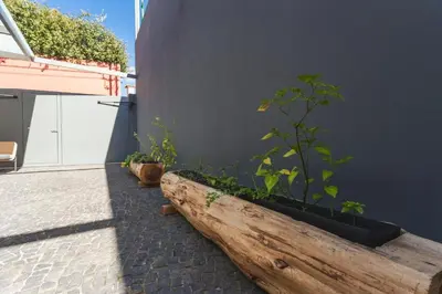 a plant in a wooden planter next to a building at Ninho Memory in Funchal