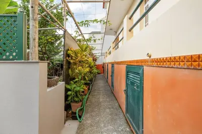 a corridor of an office building with plants at Atlantic View Studio in Ponta Delgada