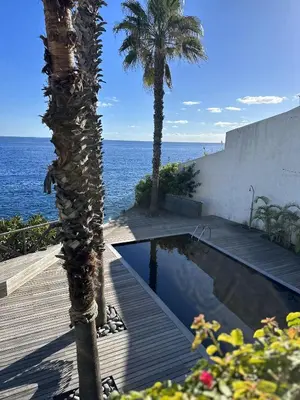 a swimming pool with a palm tree and the ocean at Santa Cruz Ocean Villa in Gaula