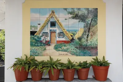 a picture of a house with potted plants in front of it at Casa da Mãe in Santana