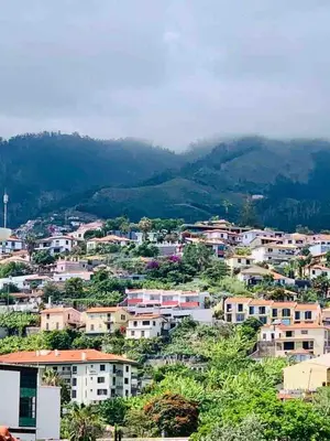 a view of a city with houses and trees at Apartment with Mountain View in Funchal