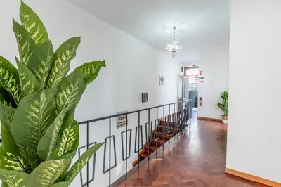 a hallway with a staircase and a plant at Serenity Sao Roque 2 Bedroom House in Funchal with Parking in Funchal