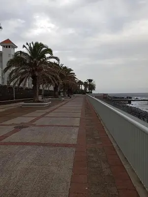 a walkway next to the beach with palm trees at Aroma do Mar in Caniço