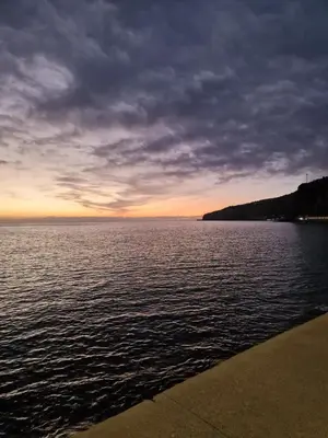 a bathroom with a shower and a bed in a room at Nature Brava Stay in Ribeira Brava