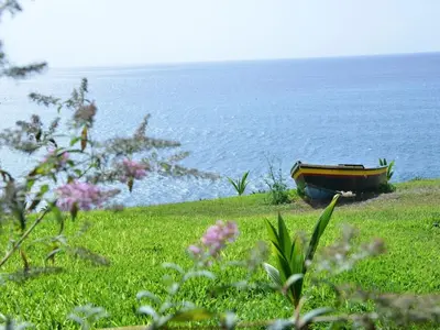 a boat sitting on a grassy hill next to the water at Quinta Golfinho - Villa Palmeira in Arco da Calheta