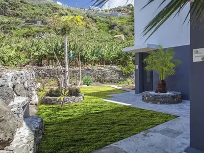 a garden with palm trees and a house at Holoiday home Casa Estrelizia in Arco da Calheta