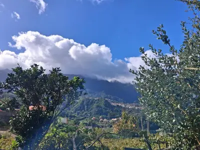 a view of a mountain with trees in the foreground at Northern Air House in São Vicente