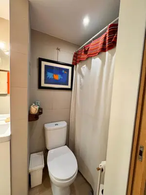 a small bathroom with a toilet and a sink at Mango Tree House Funchal Madeira Island in Funchal