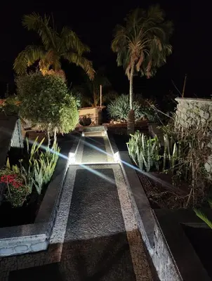 a garden with plants and trees at night at Villa Ocean Wave Calheta - Oversized Pool & Stunning Ocean Views in Calheta