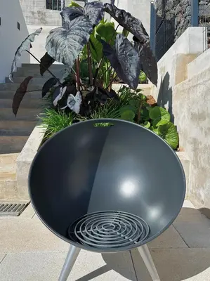 a black chair sitting in front of a plant at NEW! casa L, ocean view private pool Villa in Ponta do Sol