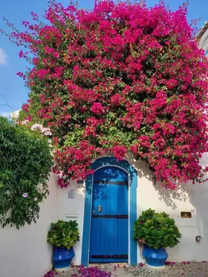 a blue door with pink flowers on a building at Casa do Burgau in Burgau