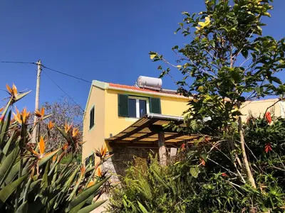 a yellow house with a tree in front of it at A charming spot in Estreito da Calheta