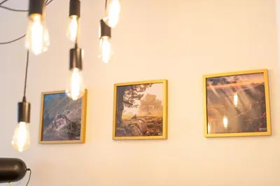 four pictures on a wall with lights on it at Sun & Roses in Funchal
