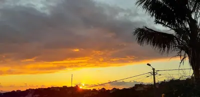 a sunset over a city with a palm tree at Studio Refúgio in Ponta do Sol