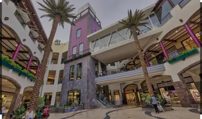a group of palm trees in a shopping mall at Madeira Ocean Suite 1 in Funchal