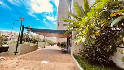 a building with a brick walkway with plants on it at Madeira 1003 in Funchal