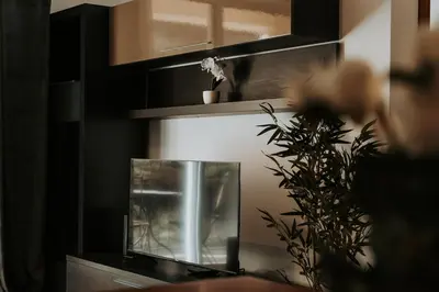 a fish tank sitting on a shelf with a plant at Brisa do Caniço in Caniço
