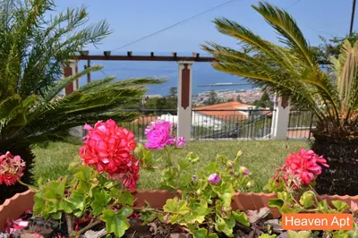 a group of flowers in a yard with palm trees at Villa Henriques in Funchal