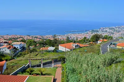 a view of a city and the ocean from a hill at Villa Henriques in Funchal
