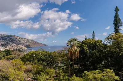 a view of the ocean from a park with a palm tree at Linda Vista Apartment by Amazing Madeira in Funchal