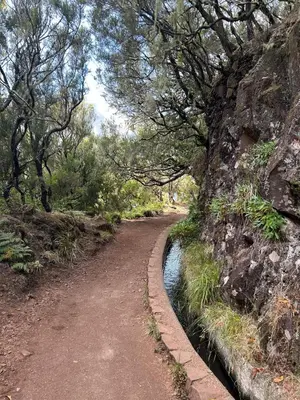 a dirt road next to a river with trees at Estrela House III, Calheta, Madeira in Calheta