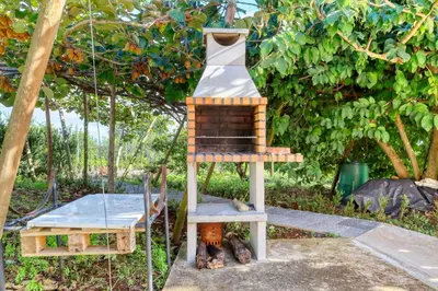 a bird house with two cats under a tree at O Miminho, a Home in Madeira in São Jorge