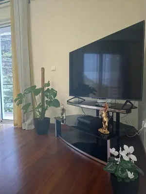 a living room with a flat screen tv on a wall at Paradise Valley Ponta do Sol in Ponta do Sol