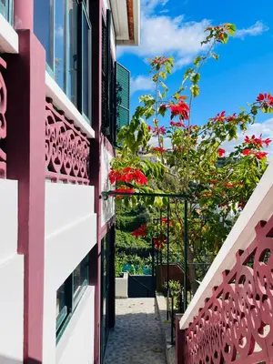 a walkway between two buildings with red flowers at Sunny Escape - Ponta do Sol - Vila Silva Downstairs in Ponta do Sol