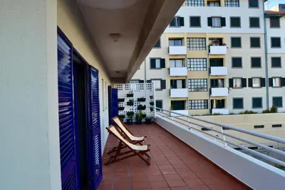 a wall filled with potted plants in a building at Ocean View II in Funchal