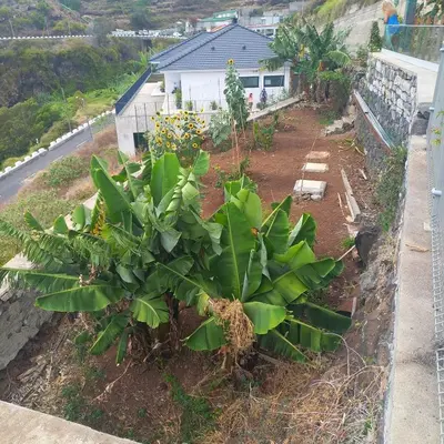 a garden with a stone walkway next to a building at casa2sonhos in Água de Pena