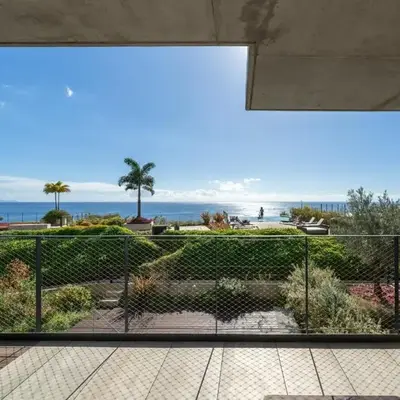 Savoy Monumentalis X by An Island Apart