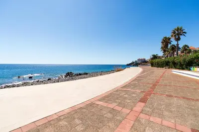 a road next to the beach with palm trees and the ocean at Atlantic View Nº3 in Caniço