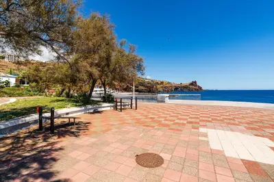 a patio with trees and the ocean in the background at Atlantic View Nº3 in Caniço