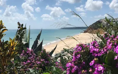 a beach with purple flowers and the ocean at tiny BEACH HOUSES - 2 min to Beach in Salema
